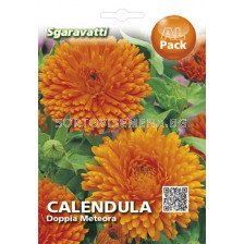 Семена Невен кичест`SG - Calendula`SG