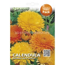 Семена Невен смес`SG - Calendula mix`SG
