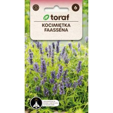 ТОРАФ СЕМЕНА ФАСЕНОВА МЕНТА-КОТЕШКА БИЛКА Kocimietka Faassena | Nepeta faassenii - 0,2 г