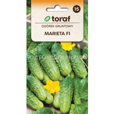 СЕМЕНА КОРНИШОНИ МАРИЕТА/ Ogorek Marieta F1 - 3 г- ТОРАФ