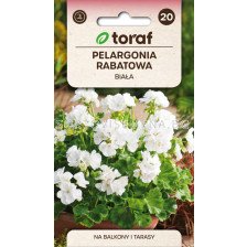 СЕМЕНА МУШКАТО БЯЛО Х Pelargonia rabatowa BIALA F2 - ТОРАФ - 0,05 г