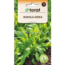 СЕМЕНА РУКОЛА ДИВА Rukola dzika | Diplotaxis tenuifolia - ТОРАФ - 1г