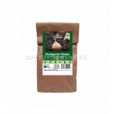 СК СЕМЕНА ЛУК STUTTGARTER RIESEN - 100Г 