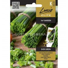 СК Семена ЛУК EVER GREEN - 2 г