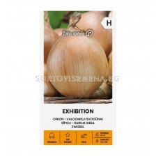 СК  СЕМЕНА ЛУК ЕКСИХИБИШЪН ONION, EXHIBITION