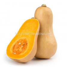 Семена тиква ORANGE F1 /ZKI/ - 1000 семена