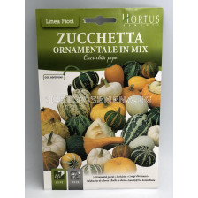 Семена Декоративни тиквички - Zucchetta ornamentale in mix