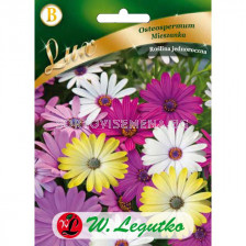 ЛГ ОСТЕОСПЕРМУМ Osteospermum ecklonis mixture