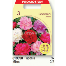 Божур микс/ Paeonia mixed - 1 пакет - 3 броя