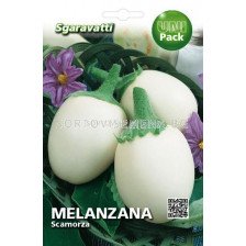 Семена патладжан Бял SG (кутия) - 1 кг