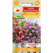 Мушкато Speedy микс - Pelargonium peltatum -10 броя - TF 