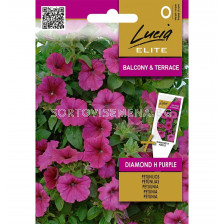 СК СЕМЕНА ПЕТУНИЯ PETUNIA DIAMOND H PURPLE  