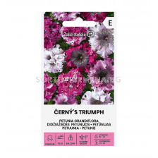 СК СЕМЕНА ПЕТУНИЯ ЧЕРНА PETUNIA GRANDIFLORA | CERNYSTRIUMPH