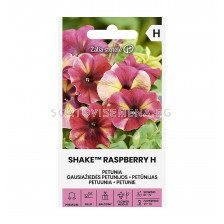 СЕМЕНА ПЕТУНИЯ ШЕЙК МАЛИНА Х PETUNIA SHAKE RASPBERRY H - СК 