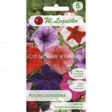 Петуния (джудже)-микс - Petunia x hybrida nana compacta (0.10g)