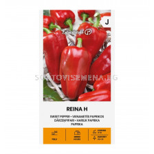 СЕМЕНА ПИПЕР СЛАДЪК РЕЙНА Х PEPPER SWEET REINA H -  СК