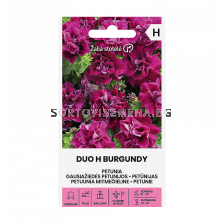 СК СЕМЕНА ПЕТУНИЯ КИЧЕСТА БУРГУНДИ ДУО Х PETUNIA DOUBLE DUO H BURGUNDY  