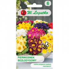 ЛГ ПРИМУЛА Primula acaulis mixture  