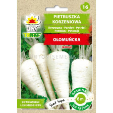 ТОРАФ СЕМЕНА МАГДАНОЗ КОРЕНОВ Olomuncka   ЛЕНТА 6М 
