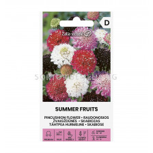 СЕМЕНА СКАБИОЗА ЛЕТЕН ПЛОД PINCUSHION FLOWER I SUMMERFRUITS - СК
