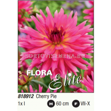 Далия кактус Cherry Pie/ Dahlia cactus - 1 бр.