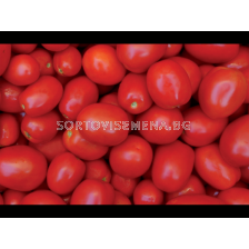 Семена домат PIETRA  ROSSA F1 (за преработка) /ZKI/  - 5000 семена