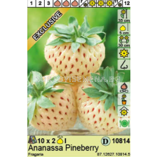 ягоди White Pineberry  - 1 оп - 2 коренища