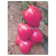 Семена домати Пинк Пионер/ TOMATO PINK PIONEER- SAKATA - 500 семена