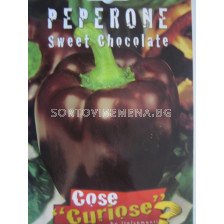 Семена пипер Калифорнийско чудо Черен (Sweet Chocolate) - pepper California Wonder Black (Sweet Chocolate)