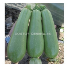 Семена тиквички Плеадес Sakata- 500 сем