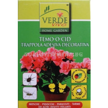 Планта жълти листи за саксийни цветя