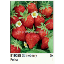 Ягоди Polka - 1 опаковка - 5 броя