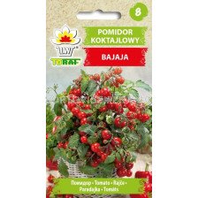 ТОРАФ СЕМЕНА ДОМАТИ БАЙАЯ Pomidor koktajlowy BAJAJA  TF - 0,3 г