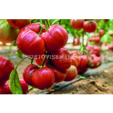 Семена домати (Биволско сърце) Белмонте - ESASEM- 25 семена
