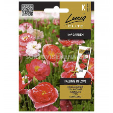 СЕМЕНА МАК FALLING IN LOVE - СК - sortovisemena.bg СЕМЕНА МАК FALLING IN LOVE - СК