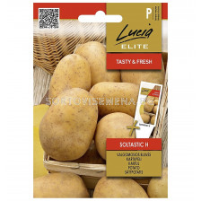 СЕМЕНА КАРТОФИ СОЛТАСТИК Х 10 СЕМ POTATO SOLTASTIC H  - СК