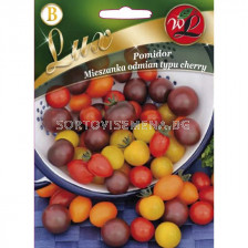 ЛГ ДОМАТИ ЧЕРИ МИКС  Tomato mixture of cherry type varieties(0.20g)  