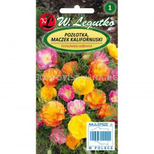 Калифорнийски мак (Ешолция) микс - Eschscholzia californica mixture (1.00g) - Legutko