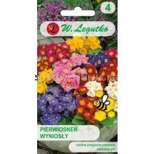 СЕМЕНА ПРИМУЛА ЕЛИАТОР Primula veris elatior mixture -  ЛГ