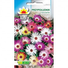 Месембриантемум микс - Mesembryanthemum  criniflorum -0,5 г