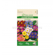 ИГЛИКА COWSLIP COLOSSEA - PRIMROSE-'SK- 50 семена