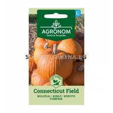 СК СЕМЕНА ТИКВА КЪНЕКТИКЪТ PUMPKIN, CONNECTICUT FIELD 