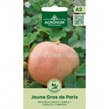 СЕМЕНА ТИКВА ЖЪЛТА ПАРИЖ  PUMPKIN, JAUNE GROS DE PARIS СК 
