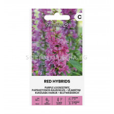 СЕМЕНА ЛИТРУМ ЧЕРВЕН  PURPLE LOOSESTRIFE  RED HYBRIDS - СК