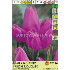 Лале/ Tulipa Purple Bouquet - Пакет: 1 оп.- 5 бр.