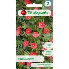 Ипомея-червена - Quamoclit coccinea red (1.00g)-Legutko