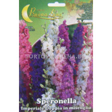 Семена Ралица