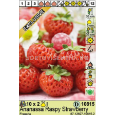 Ягоди / Fragaria Ananassa Raspy Strawberry / 1 оп- 2 корена