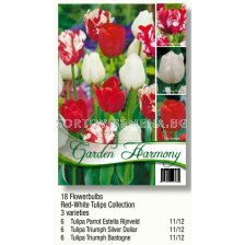 Лалета микс бяло и червено-  3 сорта/ Collection Red-White Tulips -  1 оп. 18 луковици - Garden Harmony
