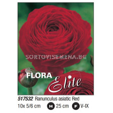 Ранункулус asiaticus red - Пакет: 1 оп. - 10 бр.